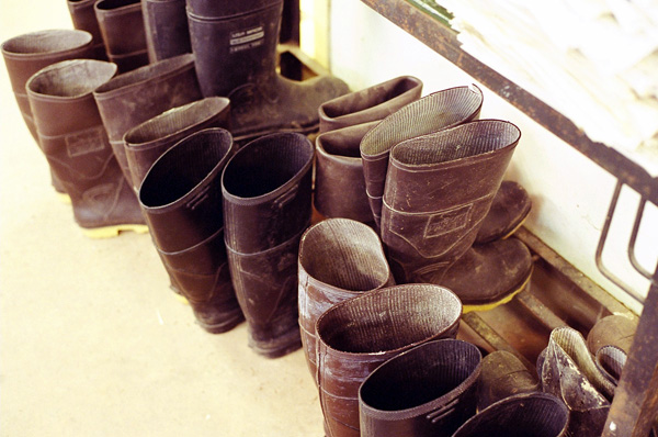 boots